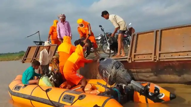 कुशीनगर: गंडक नदी की बीच धारा में फंसे थे नाव सवार सैकड़ों लोग, रेस्क्यू कर सुरक्षित निकाला गया