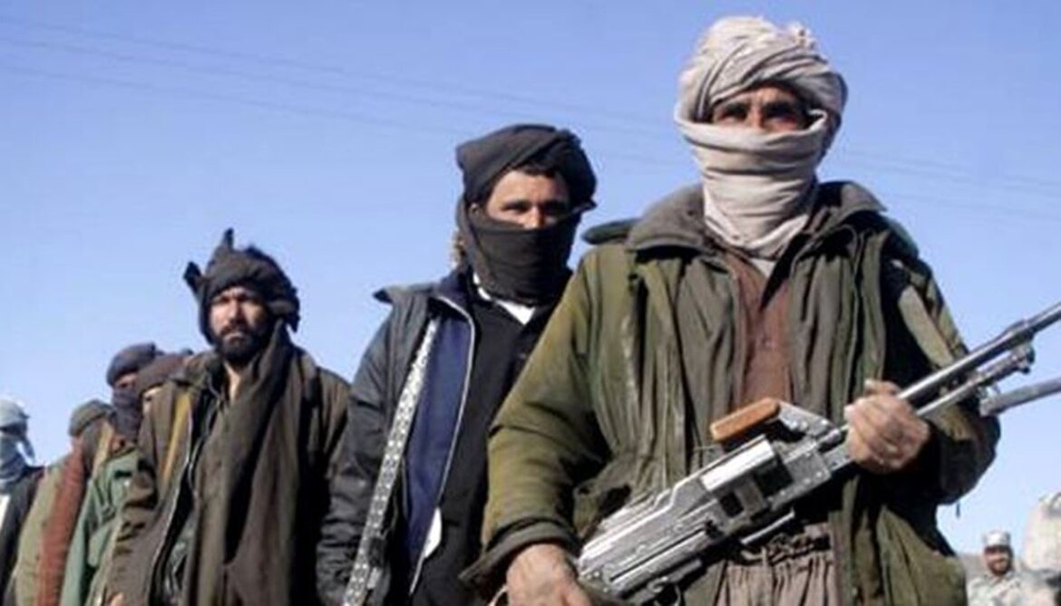 अफगानिस्तान में 46 तालिबान आतंकवादी मारे गए