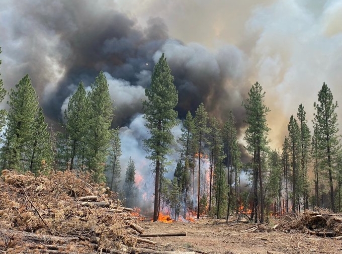 ओरेगन जंगल की आग ने एनवाईसी के आकार का 1.5 गुना क्षेत्र झुलसा दिया