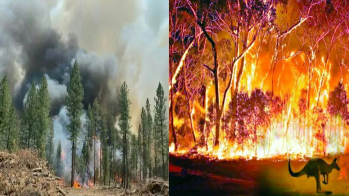 ओरेगन बूटलेग में लगी आग 400,000 एकड़ में फैली
