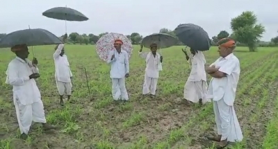 राजस्थान में किसानों के तेजाजी के गीत गाने से होती है बारिश? कैम्ब्रिज करेगा अनुसंधान