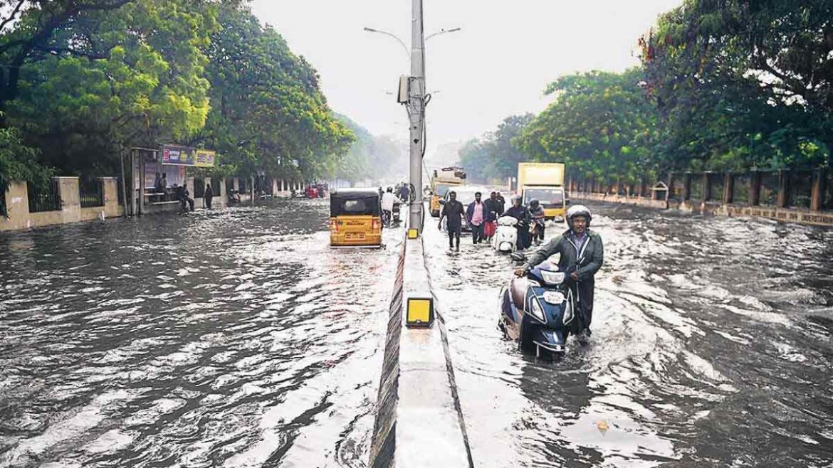 रीवा और शहडोल संभाग समेत 11 जिलों में कहीं-कहीं तेज बारिश की चेतावनी, भोपाल, इंदौर समेत पूरे प्रदेश में 11 अगस्त तक बूंदाबांदी