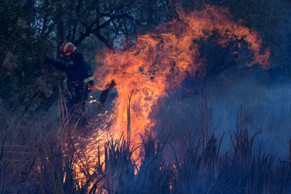 ग्रीस में लगी जंगल की आग में 16 लोग घायल