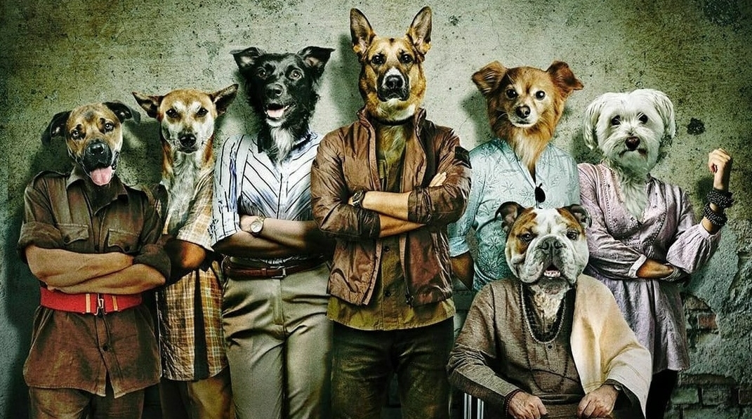 अर्जुन कपूर ने शेयर किया आसमान भारद्वाज की फिल्म ‘कुत्ते’ का मोशन पोस्टर