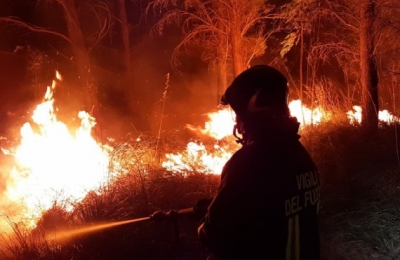 इटली के जंगल में भड़की आग, त्वरित निकासी
