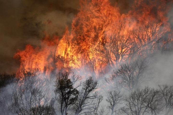 कैलिफोर्निया में 1,600 से ज्यादा अग्निशामकों ने आग से लड़ाई लड़ी