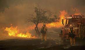 कैलिफोर्निया में जंगल की भीषण आग लोगों को पलायन के लिए कर रही है मजबूर