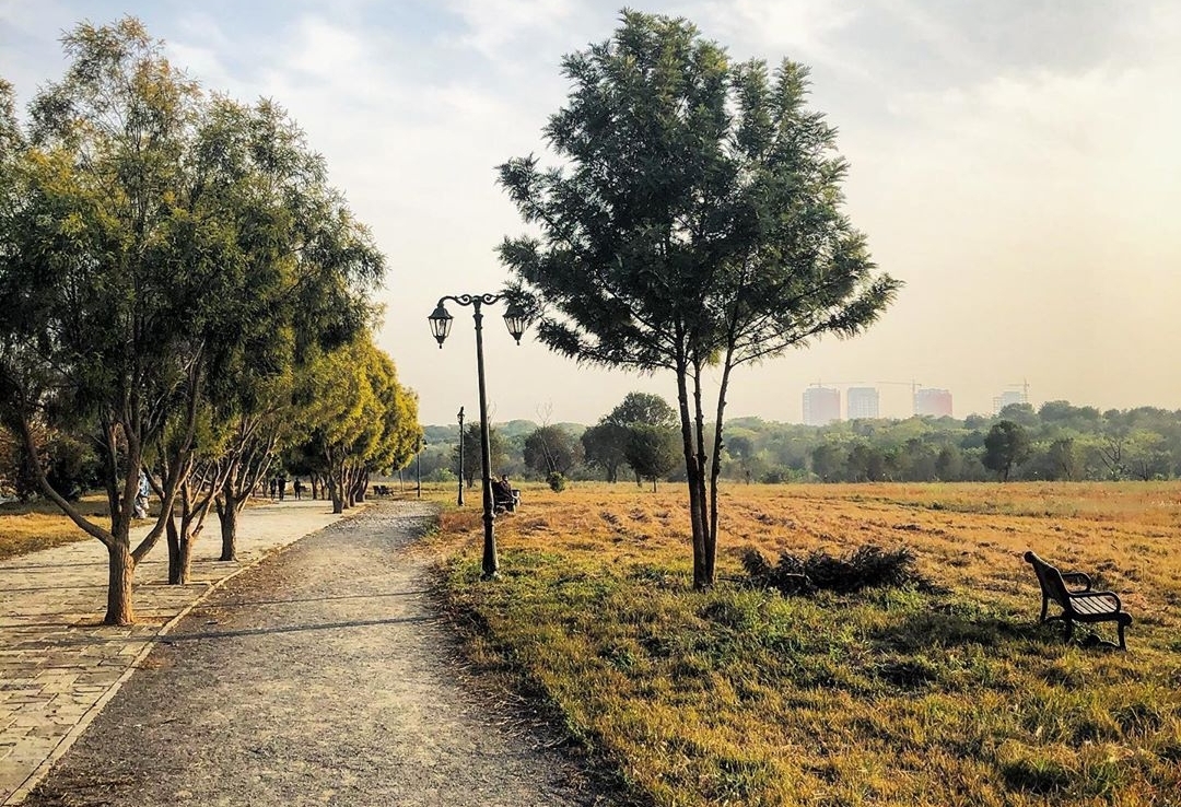 दिल्ली: पूर्वी निगम के 28 पार्कों के लिए बनी नई योजना, दुग्ध कंपनियों को ‘मिल्क बूथ’ के लिए मिलेगी जगह