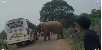 जमशेदपुर में उत्पात मचा रहा 70 हाथियों का दल, कई घरों को किया ध्वस्त, यात्री बस पर भी हमला