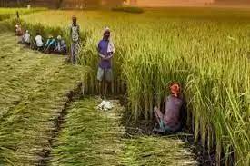 तमिलनाडु में कृषि के लिए पृथक पारेषण लाइन बिछाई जाएगी