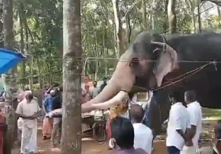 केरल में उत्सव के दौरान पागल हुआ हाथी, महावत ने कूदकर बचाई जान, 2 घंटे तक मची रही भगदड़