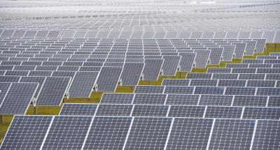 भारत, स्वीडन ने छोटे किसानों के लिए सौर ऊर्जा संचालित स्मार्ट फार्म लाने को हाथ मिलाया